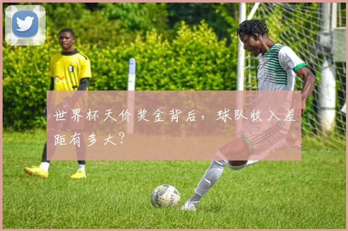 世界杯天价奖金背后，球队收入差距有多大？