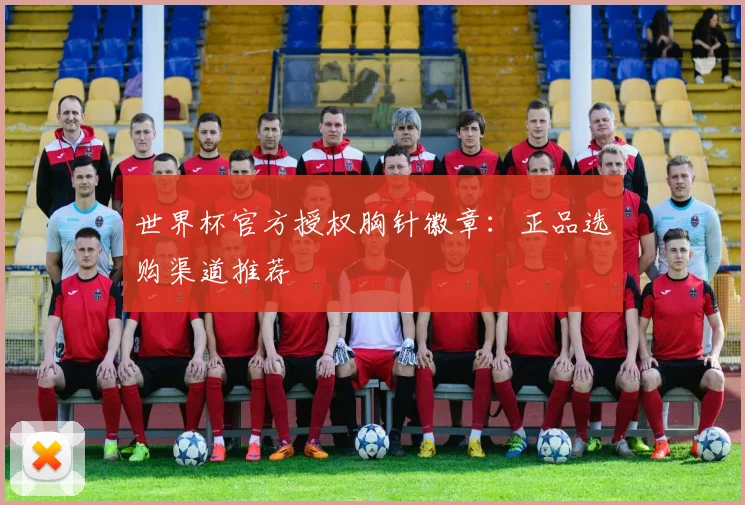 世界杯官方授权胸针徽章：正品选购渠道推荐